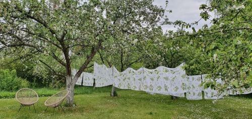 Apartamento Agroturystyka Likusy