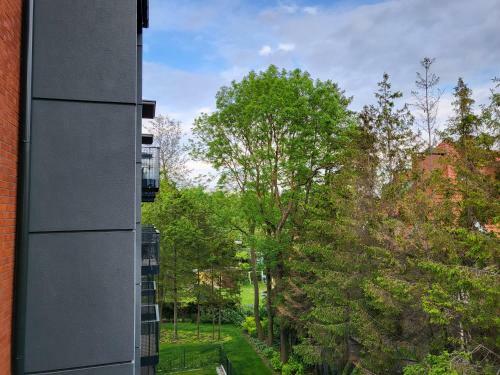 Apartament 38, Mielno Olimpijska