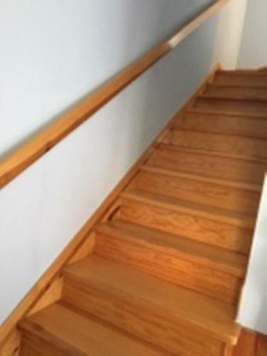 Ow Liwia W Niechorzu