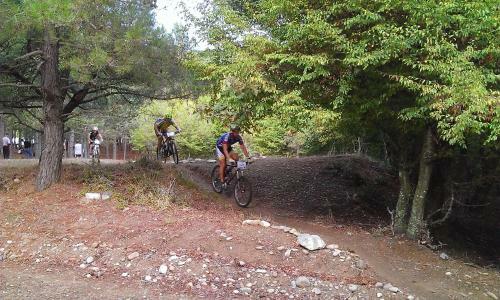 916 Mountain Resort