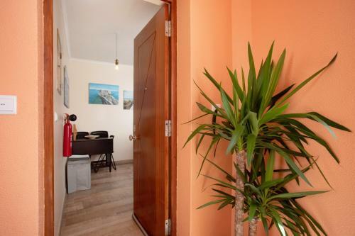 Apartamento Home Away From Home