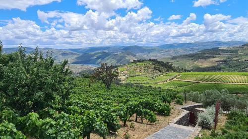 Villa Casa De Pena D'�guia - Douro Encantado