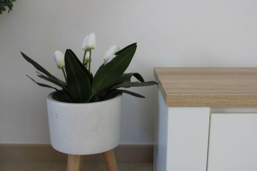 Apartamento Casa Lou 55