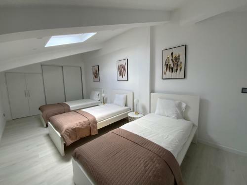 Luxury Loft Apartment
