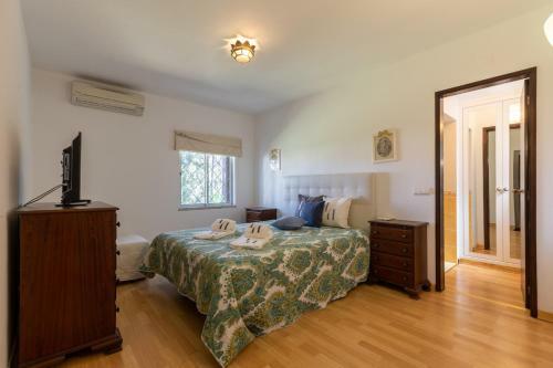 Villa With Pool And Large Garden
