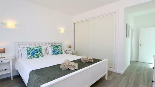 Villa Vila Renascer Cd235 10 Minutes From The Center, Quiet Area