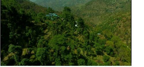 Oak Hill Homestay