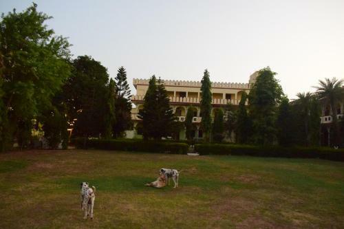Agroturismo Hotel Pushkar Heritage