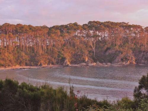 Panoramic Ocean Views // Malua Bay