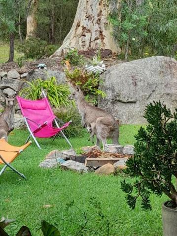 Oasis In The Bush
