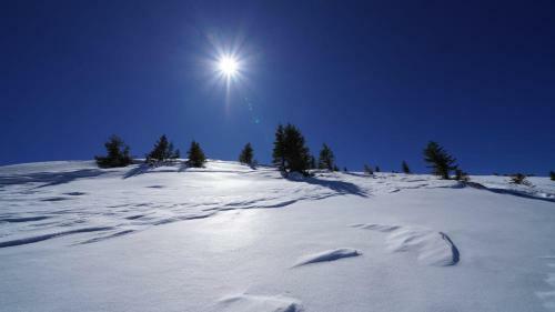 Kuhgl�ck Koralpe