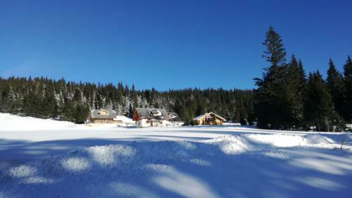 Sch�nbergh�tte