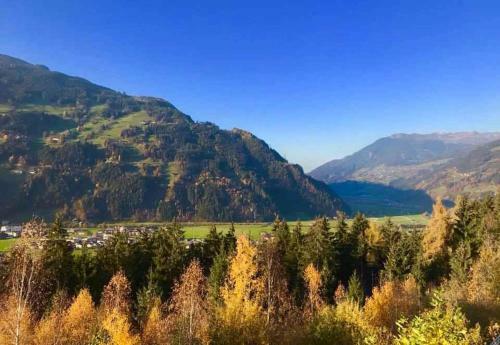 Apartment In Gerlosberg - Tirol 42414
