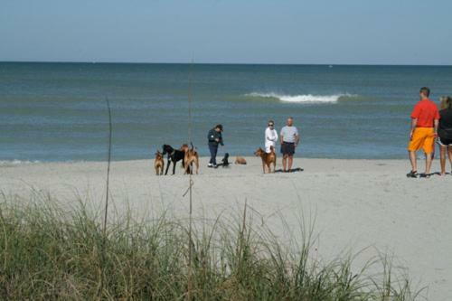 Apartamento New The Lighthouse- Pet Friendly