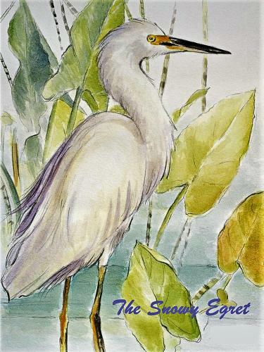 Apartamento Snowy Egret Tropical 1 - Pet Friendly