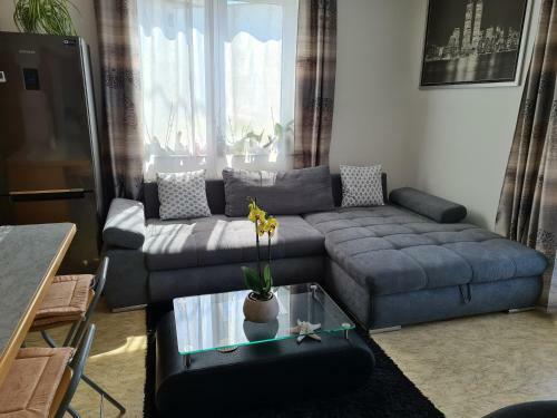 Orchidea Apartment