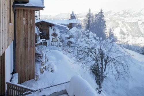 Chalet Alm Planai