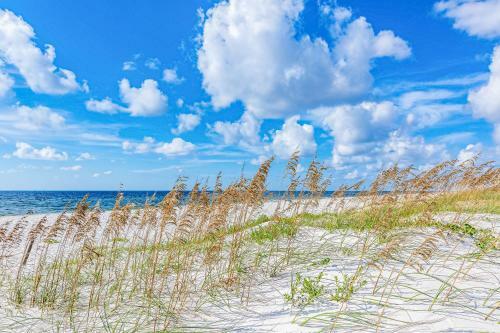 Serenity By The Sea