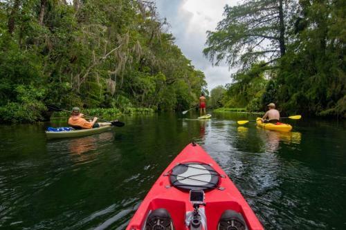 Saddlebrook Resort Studio Suite - Peaceful Pond Paradise - Pet Friendly - Convenience And Comfort