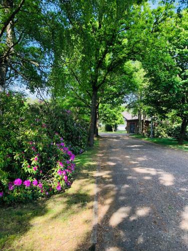 Apartamento Zum Sieck M�den-�rtze