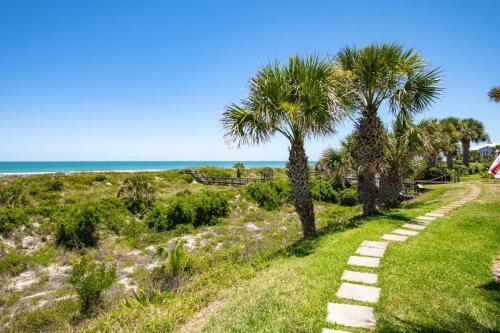 Sea Turtle Shores