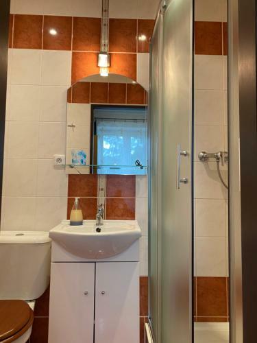Alba Apartmany ?elezn� Ruda