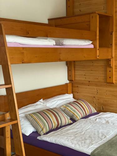 Alba Apartmany ?elezn� Ruda