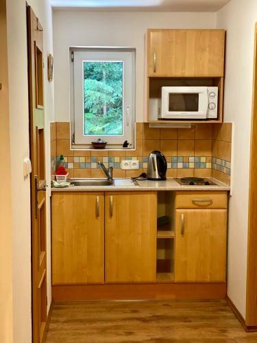 Alba Apartmany ?elezn� Ruda