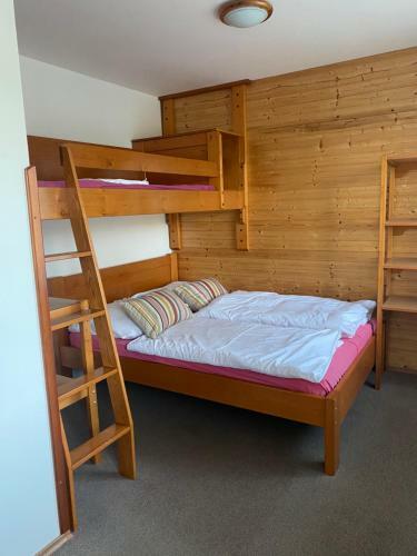 Alba Apartmany ?elezn� Ruda