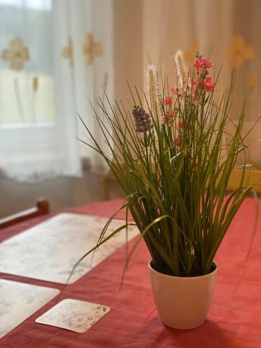 Alba Apartmany ?elezn� Ruda