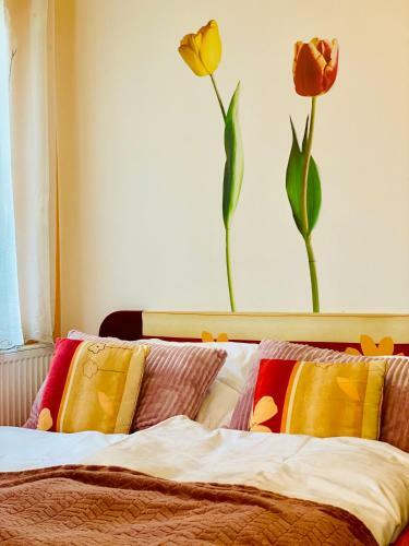 Alba Apartmany ?elezn� Ruda