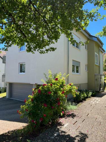 Apartamento Schwarzwald Appartement Steffanie