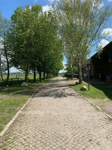 Apartamento Tjarkshof