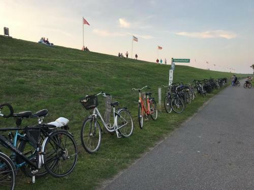Apartamento Ferienhof Schoof No3