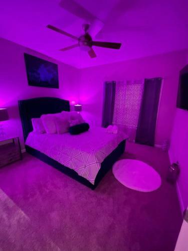 Newly Luxury 1 Bedroom Apartment!