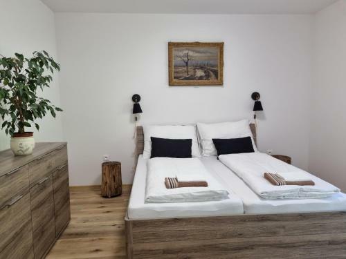 Hostal Apartm�ny U Petra
