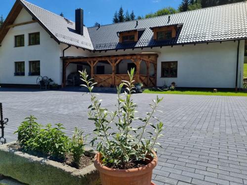 Hostal Apartm�ny U Petra