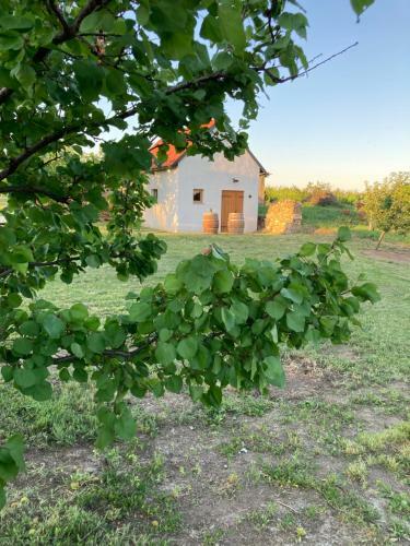 Apartamento Ubytov�n� ?mudla