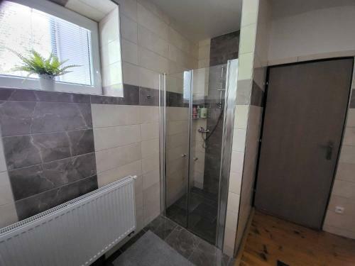 Apartm�n U Kolej� II