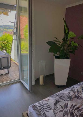 Apartment Kellhof