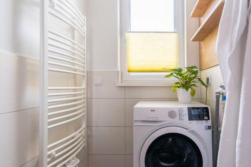 Apartamento Die Haffh�user Ferienwohnung IV