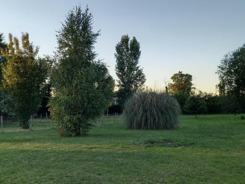 G�te Cocooning Au C?ur De La Nature