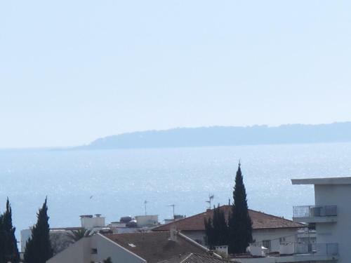 Apartamento Appartement Les Mimosees