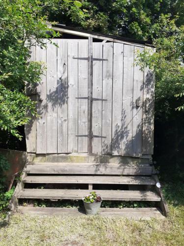 Our Garden
