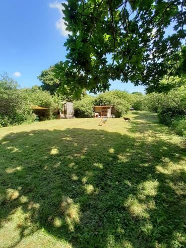Our Garden
