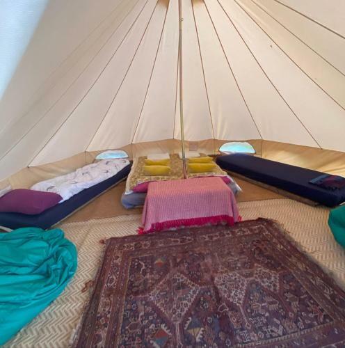 Wild Goose Campsite