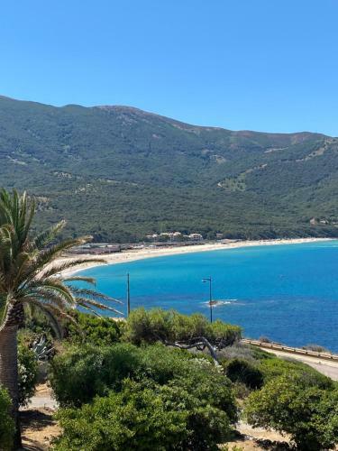 Hostal Villa Les Palmiers