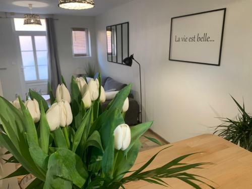 Le Cocon Des Hortillonnages