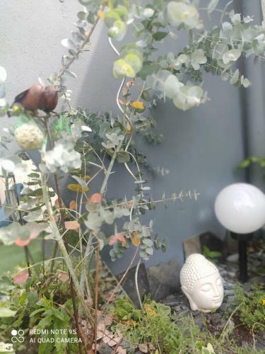 Le Cocon Des Hortillonnages