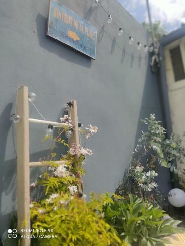 Le Cocon Des Hortillonnages